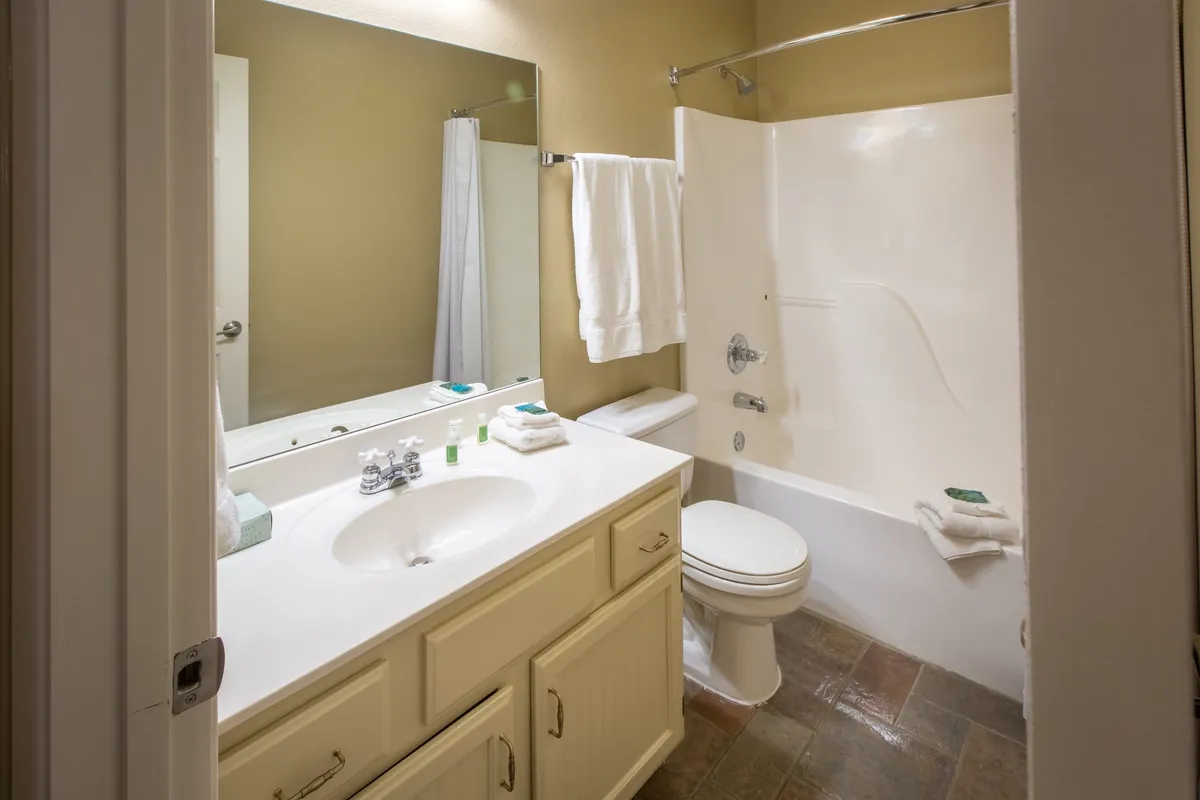 A modern bathroom with a spacious vanity, large mirror, and a relaxing bathtub. The mood is clean and inviting, with amenities for personal care and rejuvenation.